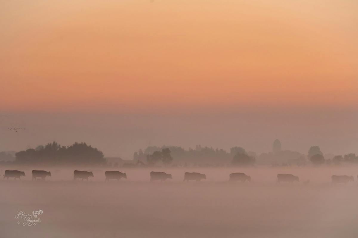 Foto: Klazinavandenherik