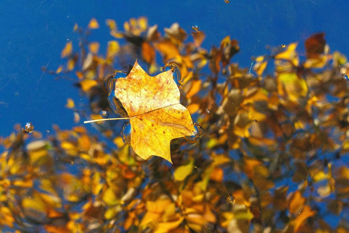 Foto: Focuspocus