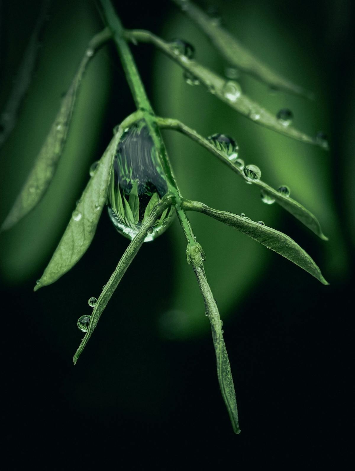 Foto: BarrieWesterink