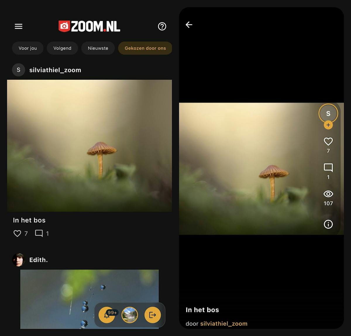 De feed met foto's onder elkaar, en een foto schermvullend.