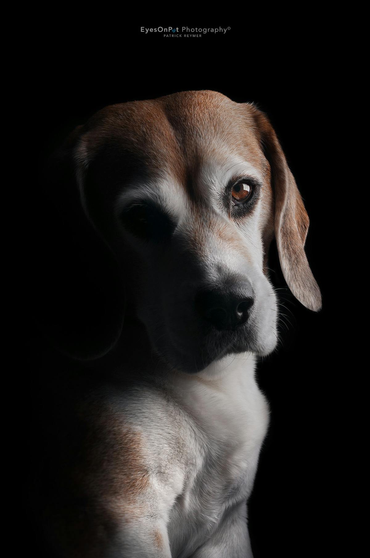 Foto: EyesOnPat