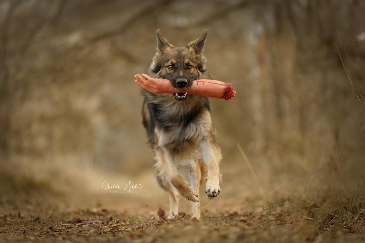 Foto: MichelleHulshof